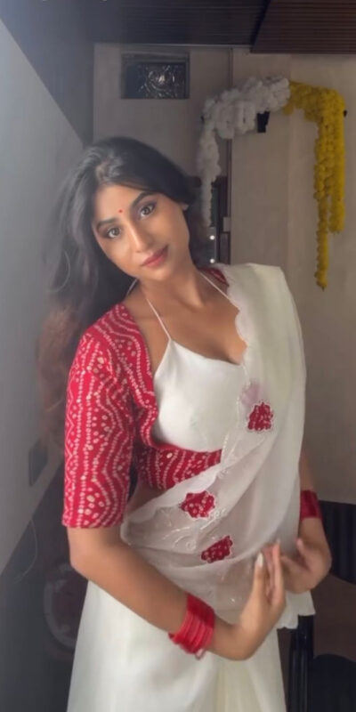 White Chiffon Crystal Hand Work Saree