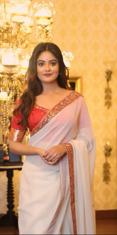 White Georgette Zari Work Saree