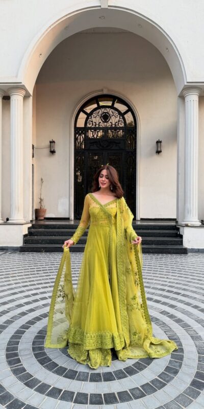 Green Butterfly Net Sequence Work Lehenga Choli