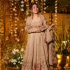 Cream Crunchy Silk Embroidery Work Gown