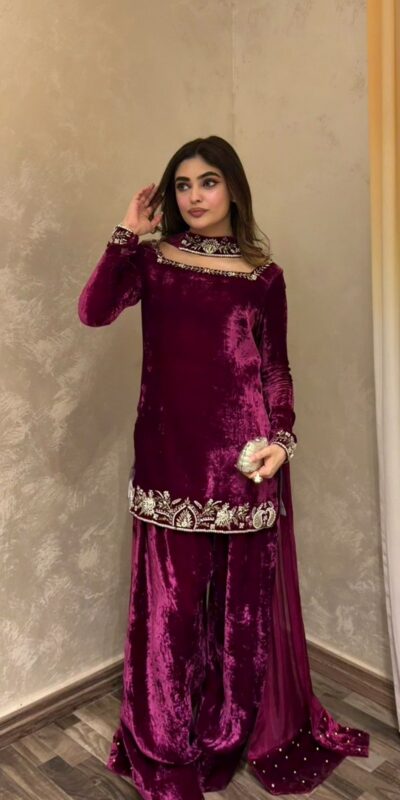Wine Viscose Velvet Sequence Work Salwar Suit