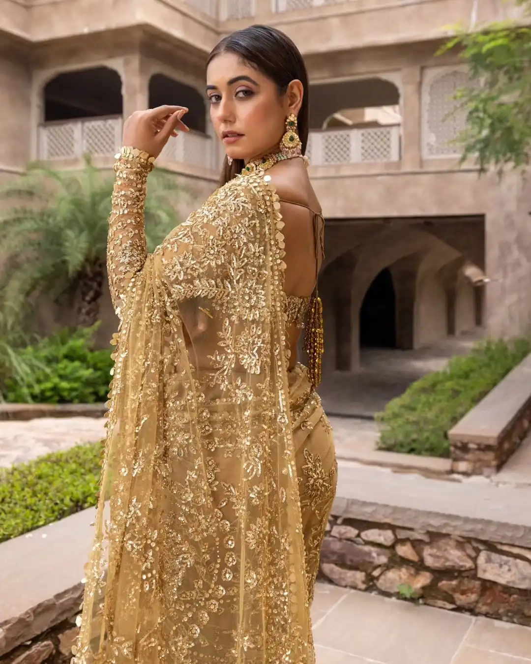 Golden Mono Net Embroidery Work Saree - Image 3