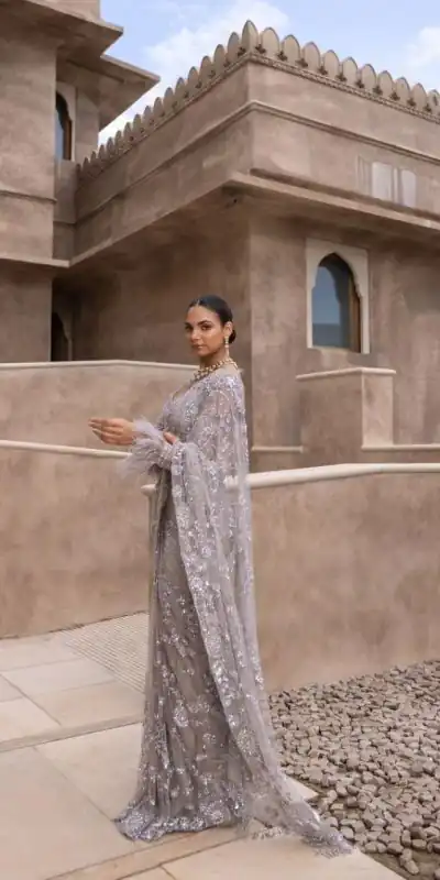 Fancy Silver Color Nylon Butterfly Net Malty & Sequence Saree