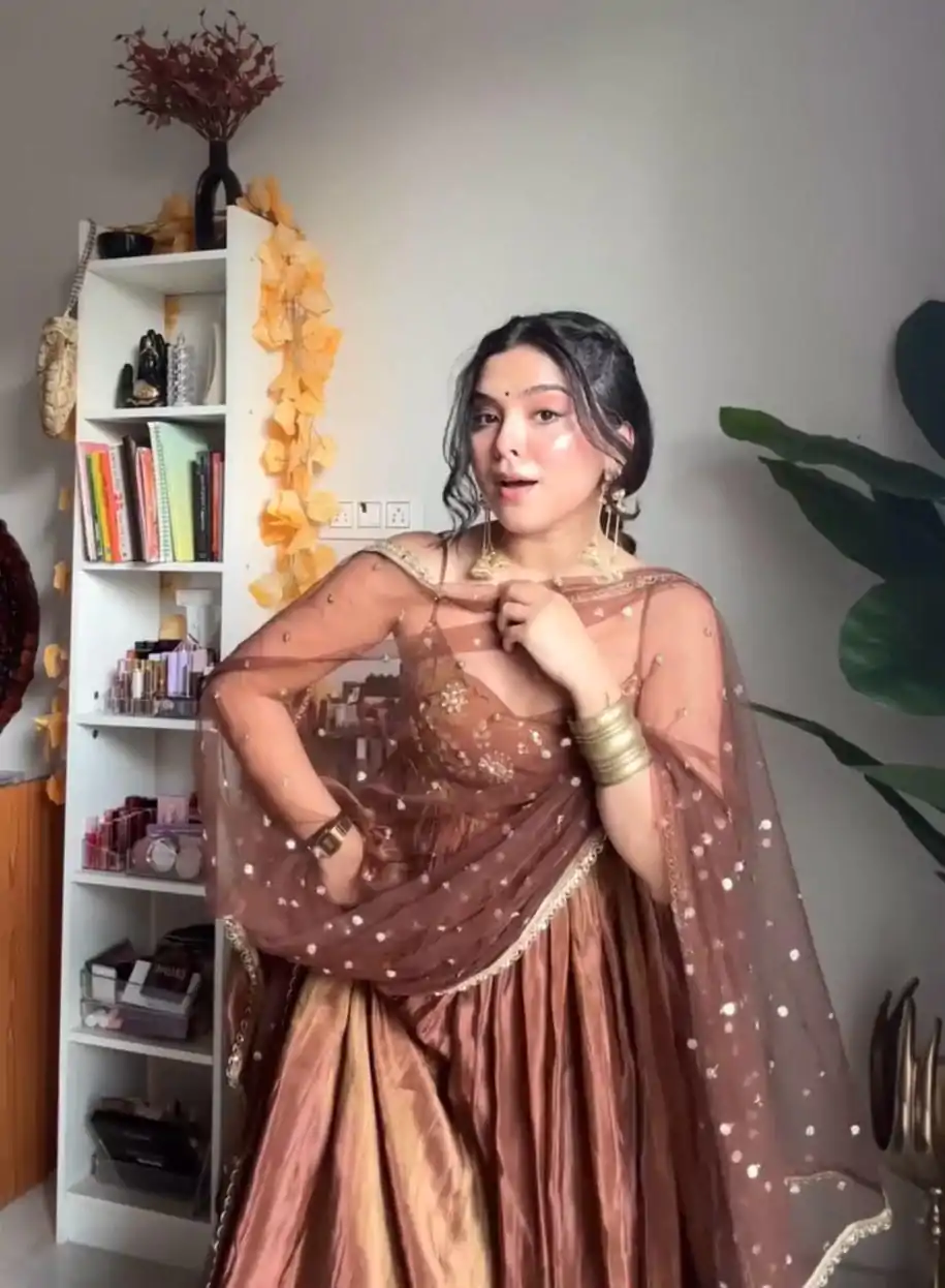 Brown Silk With Embroidery Sequence Work Anarkali Gown - Image 4