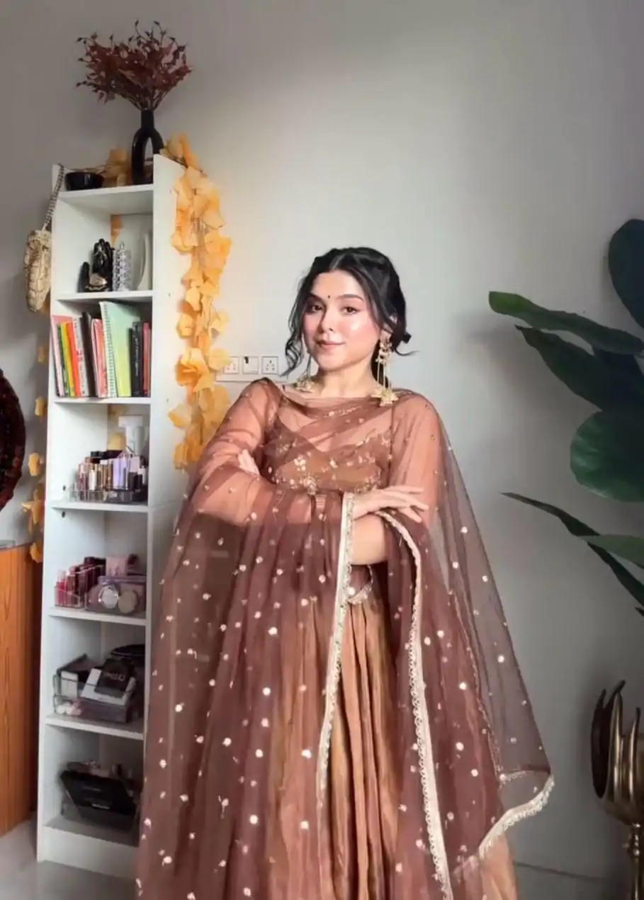 Brown Silk With Embroidery Sequence Work Anarkali Gown - Image 5