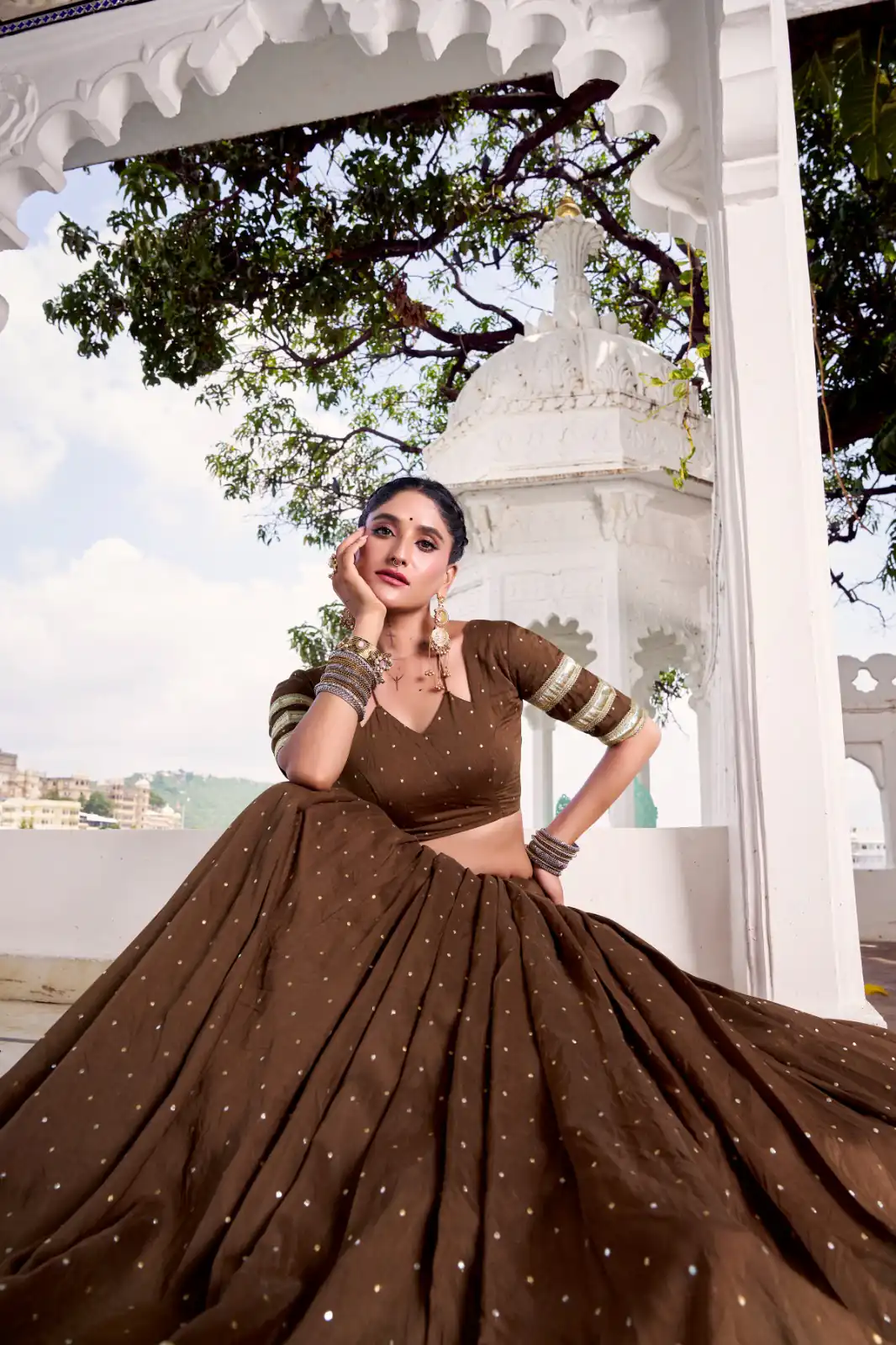 Brown Chanderi Lace Zari Work Lehenga Choli - Image 3