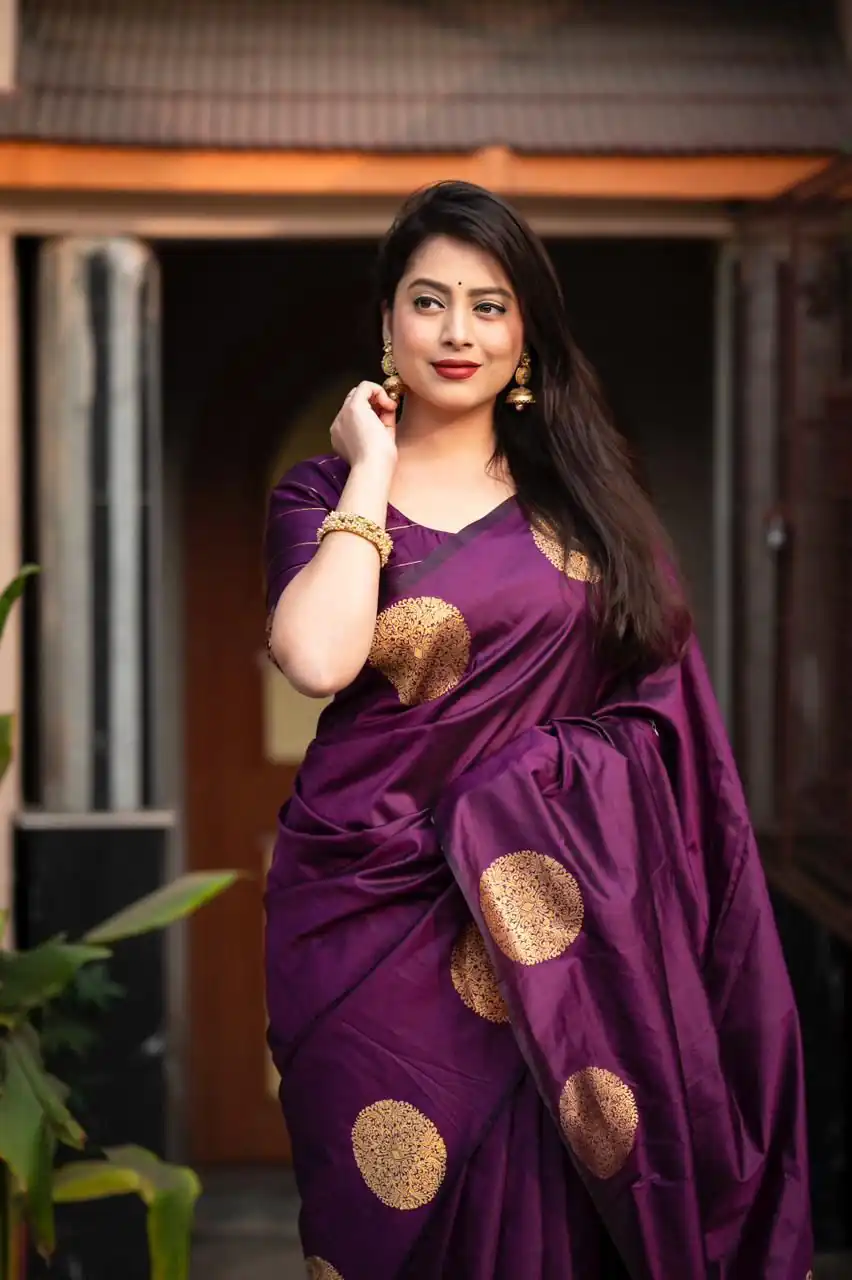 Dark Purple Soft Silk Cloth Pallu Saree - Image 2
