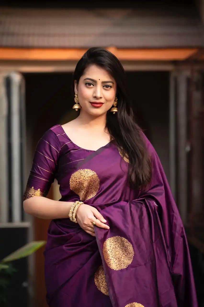 Dark Purple Soft Silk Cloth Pallu Saree - Image 3