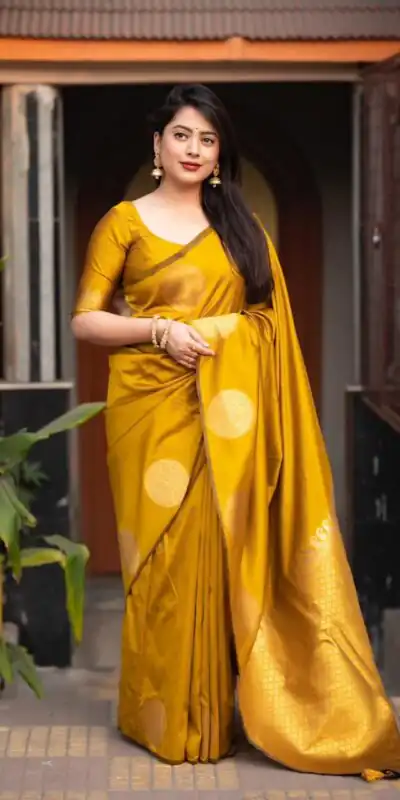 Mastered Gold Soft Silk Cloth Pallu Saree