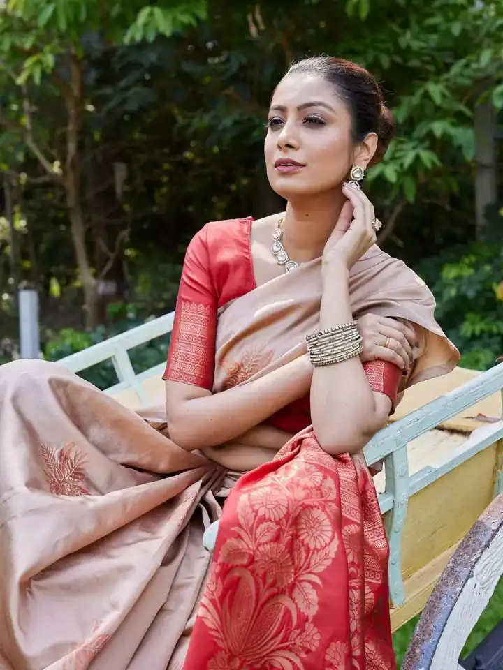 Chiku Lichi Silk Lace Border Saree - Image 5