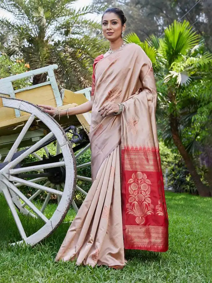 Chiku Lichi Silk Lace Border Saree - Image 4