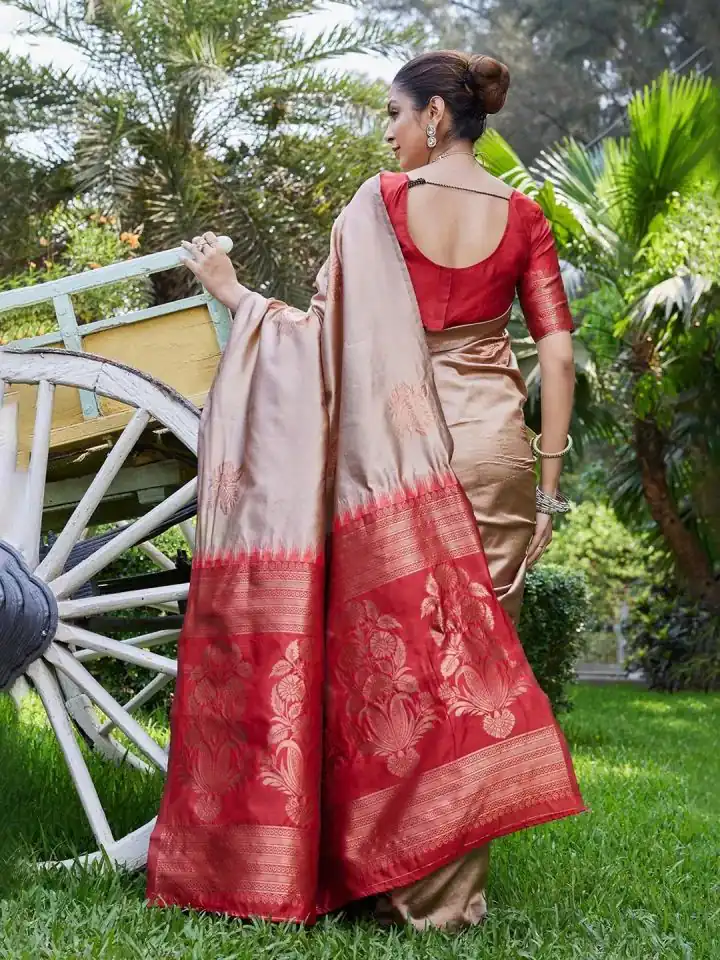 Chiku Lichi Silk Lace Border Saree - Image 3