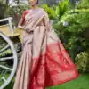 Chiku Lichi Silk Lace Border Saree