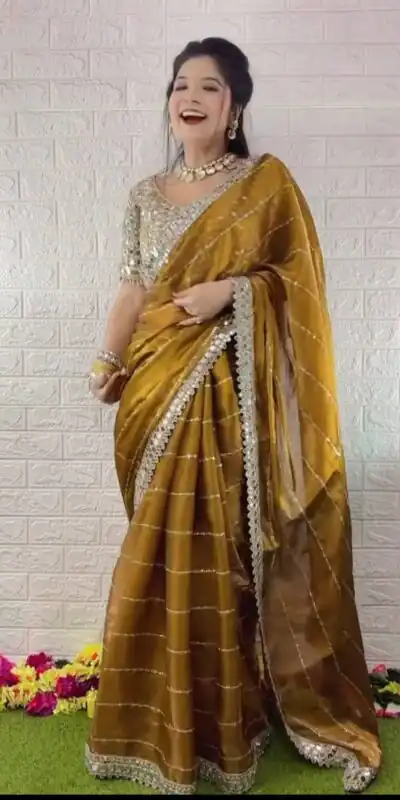 Mustered Organza Silk Mirror Embroidery Work Saree