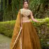 Mastered Chanda Silk Sequins Work Lehenga Choli