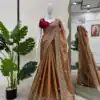 Brown Burberry Silk Sequence Work Saree