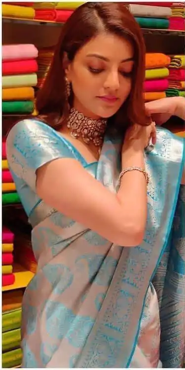 Sky Blue Soft Lichi Silk On All Over Border Saree - Image 4