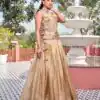 Ram 166 Chiku Gold Crush Lehenga Choli Perfect for Wedding, Party, Ethnic Day, Karwa Chauth, Sangeet – . Special Price ₹2549. Delivery 4-6 Working Days. | Lehenga, Bollywood Lehenga, Creative Lehenga, Designer Lehenga, Embroidered Lehenga, Party Wear Lehenga