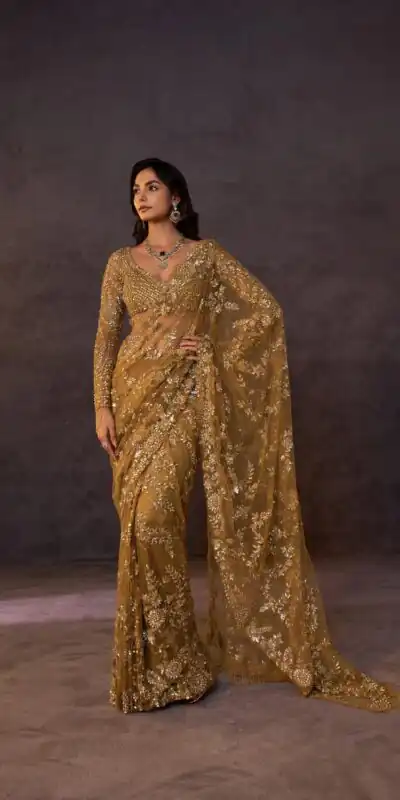 Fancy Golden Butterfly Net Sequence Work Saree