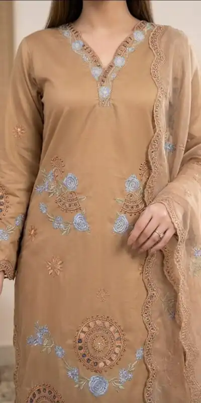 VLM 343 Chiku Roman Salwar Suit with Cut Work & Embroidery Work. Exclusive Offer ₹2449. Delivery 4-6 Working Days. Shop now. | Jump Suits, Salwar suit, Casual Suits, Creative suits, Designer Suits, Palazzo Suits, Party Wear Suits, Patiala Suits, Straight Suits