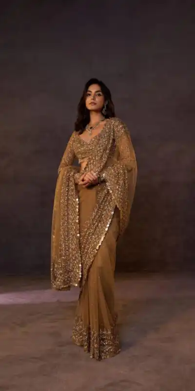 Alternative view of Unique Chiku Butterfly Net Sequence Work Saree
