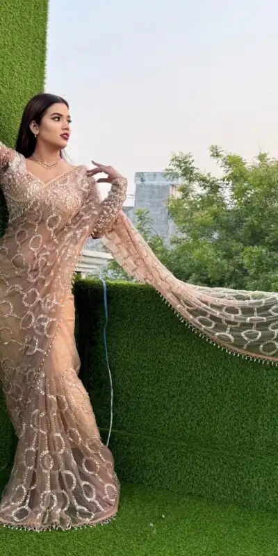 DF 3490 Chiku Color Butterfly Net Heavy 5mm Sequins Embroidery work Saree Casual, Wedding, Festive, Events . Expected Delivery 4-6 Working Days @1799/- only | Sarees, Bollywood Sarees, Creative Sarees, Designer Sarees, Embroidered Sarees, Ethnic Saree, Modern Digital sarees, Party Wear Sarees