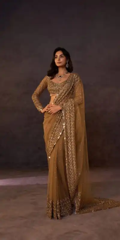 DF 3485 Chiku Butterfly Net Saree Sequence with Work & Zari Work. Introductory Price ₹1999. Delivery 4-6 Working Days. Shop now. | Sarees, Bollywood Sarees, Creative Sarees, Designer Sarees, Embroidered Sarees, Ethnic Saree, Modern Digital sarees, Party Wear Sarees