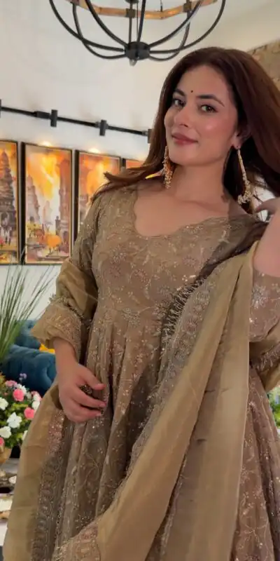 SR 1726 Chiku Fendy Silk Gown with Embroidery Work & Sequins Work. Special Price ₹2899. Delivery 4-6 Working Days. Shop now. | Gowns, Bollywood Gowns, Creative Gowns, Designer Gowns, Embroidered Gowns, Party Wear Gowns